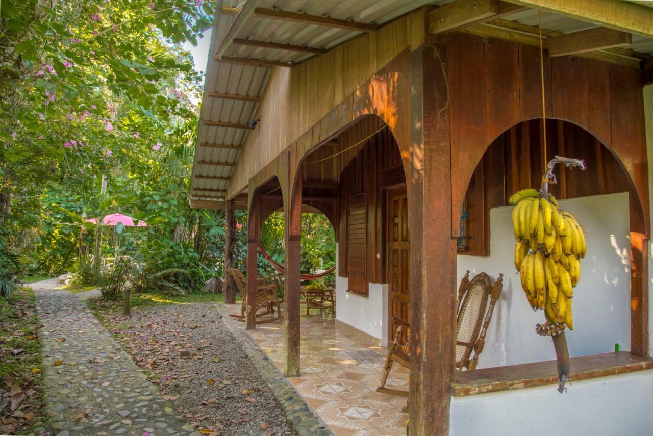 Cabinas Iguana Cahuita Exterior foto