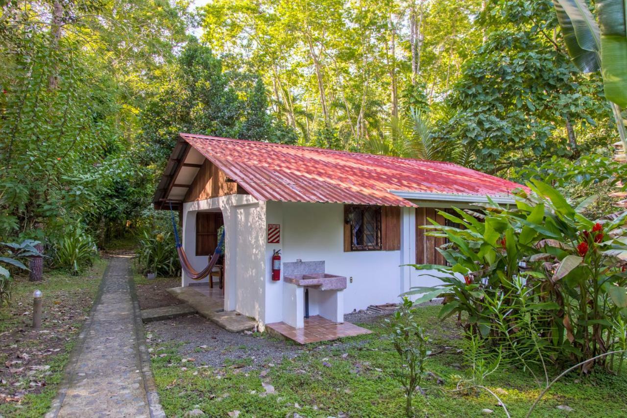 Cabinas Iguana Cahuita Exterior foto