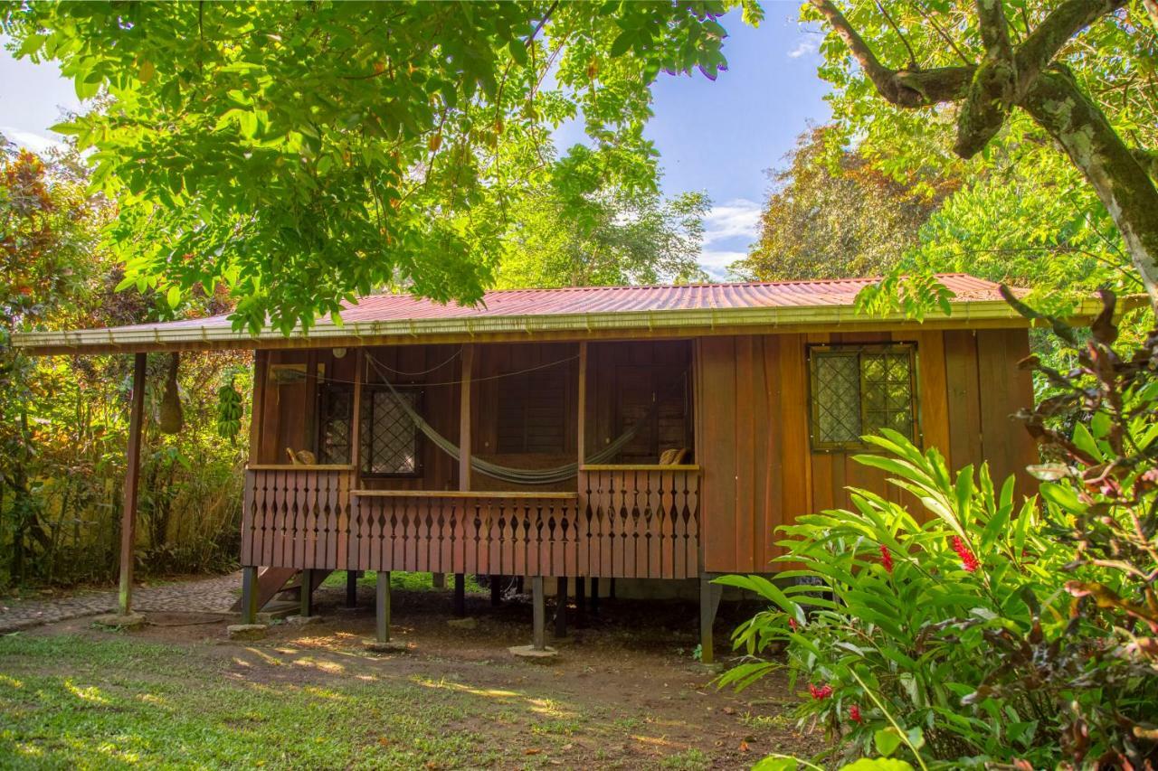 Cabinas Iguana Cahuita Exterior foto
