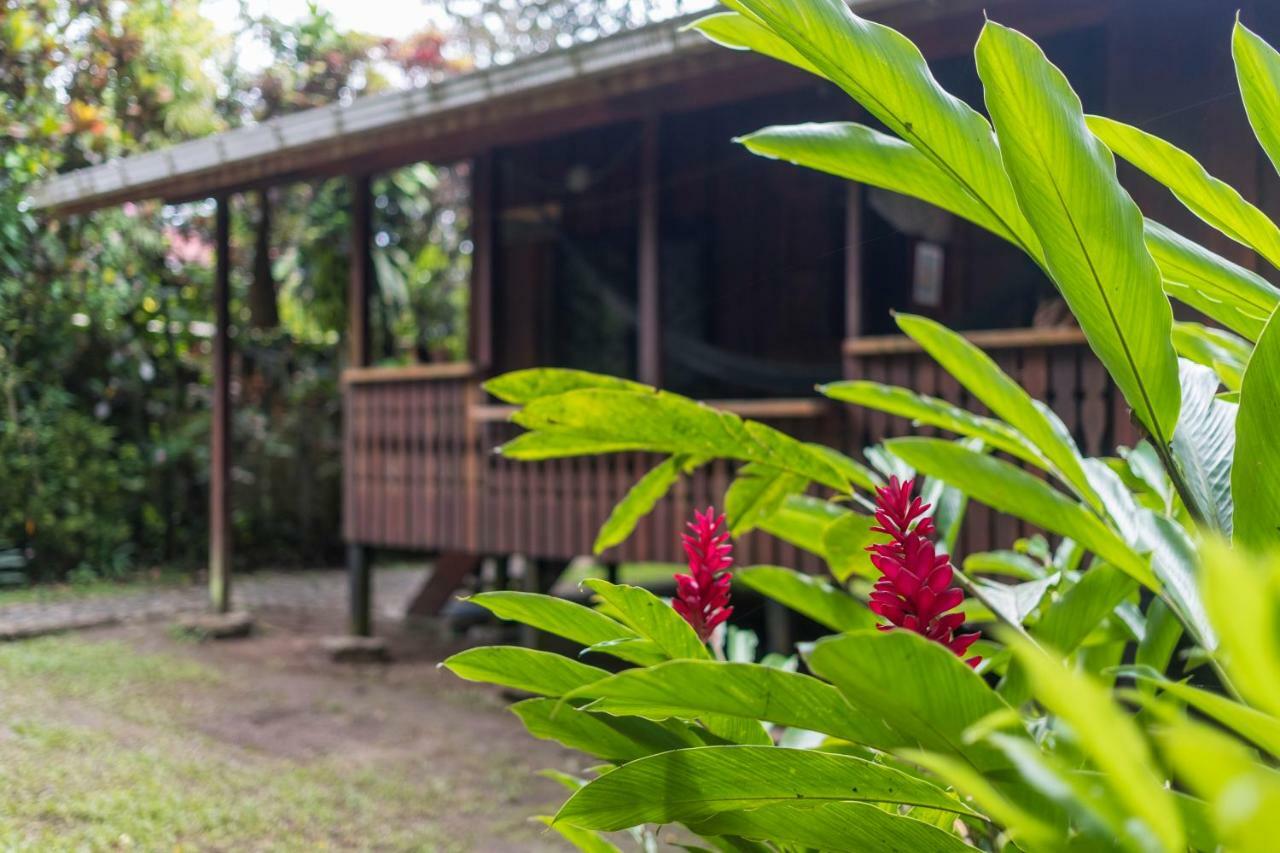 Cabinas Iguana Cahuita Exterior foto