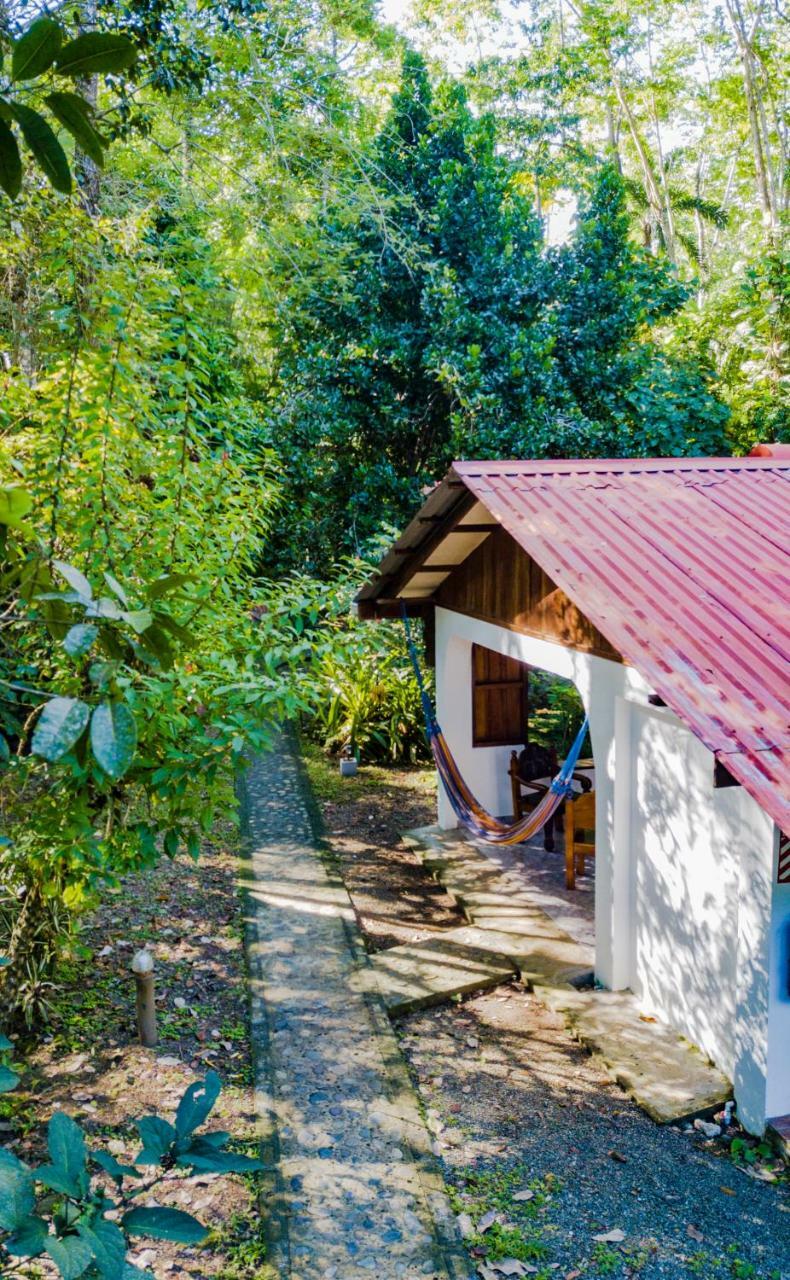 Cabinas Iguana Cahuita Exterior foto